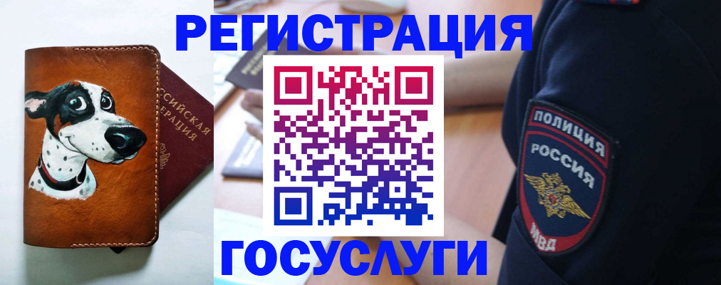 временная регистрация в квартире в Николаевске